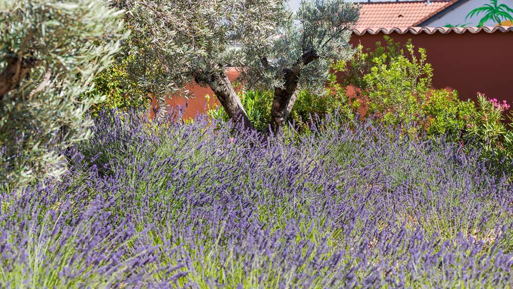 Terre De Provence Hotel & Spa 르퐁테 외부 사진